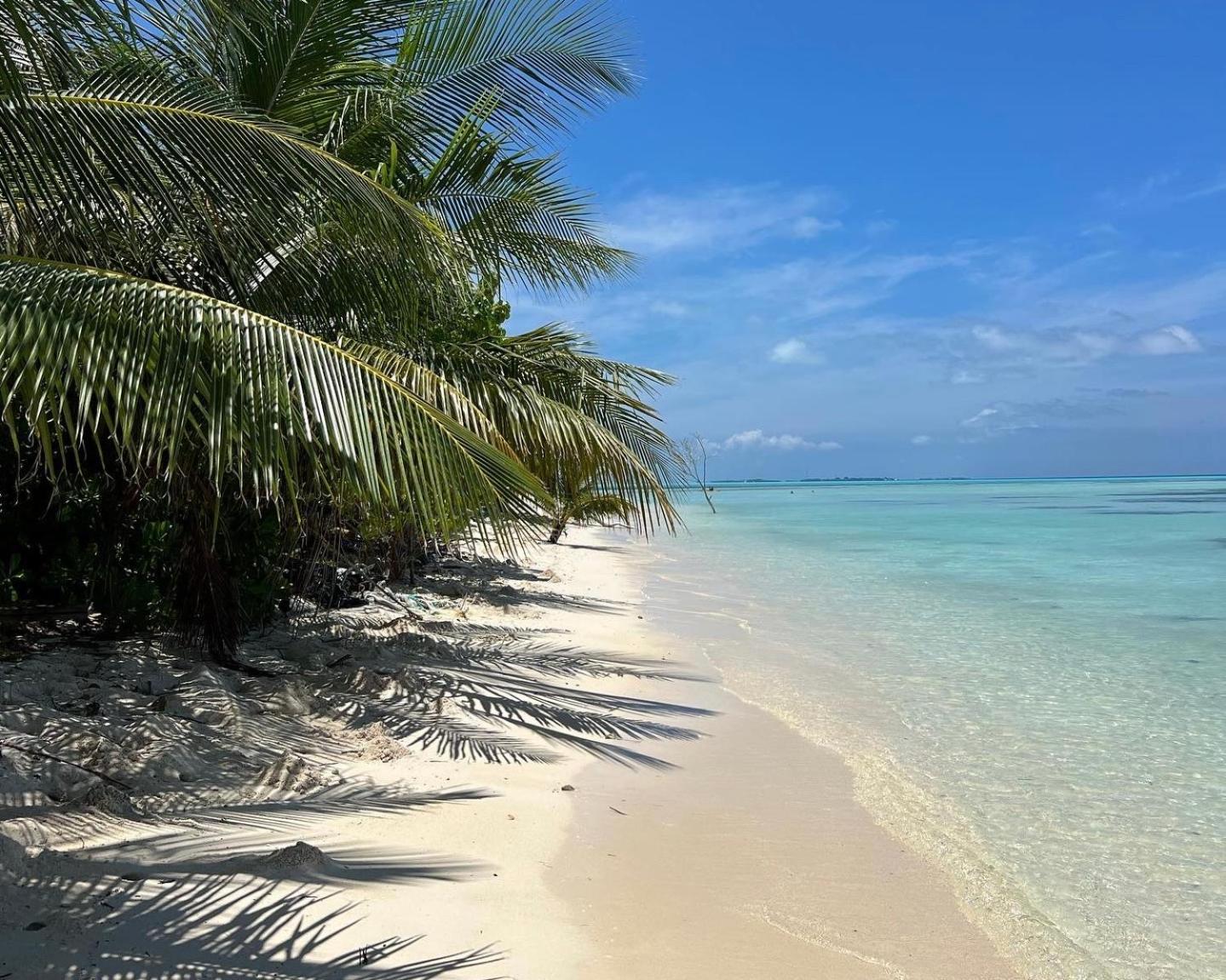 Heron Beach Hotel - The Best Maldivian Getaway In Dhiffushi,Maldives المظهر الخارجي الصورة